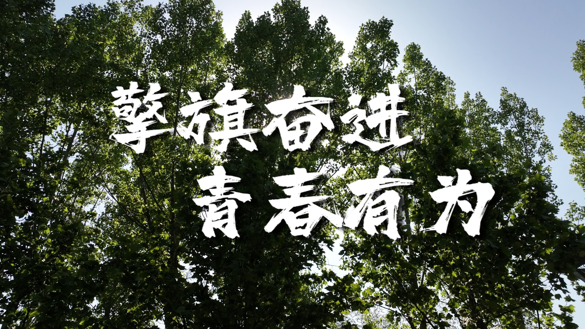 >《擎旗奮進(jìn) 青春有為》